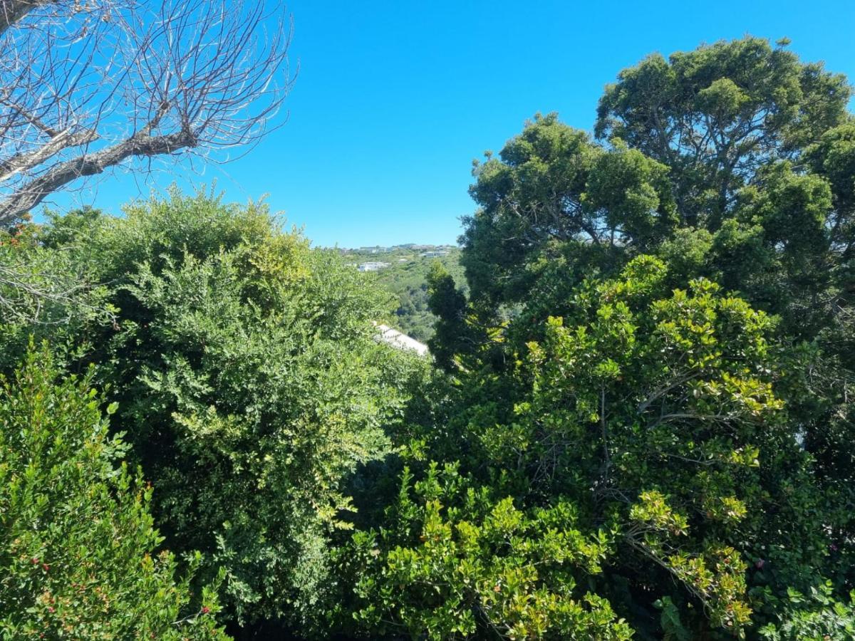 Modern Solar Powered 1 Bed Studio Apartment With Amazing Views Plettenberg Bay Eksteriør billede